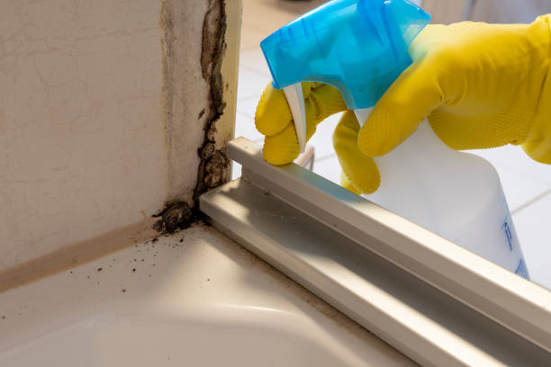 Water Damage Restoration in Stockton, MO