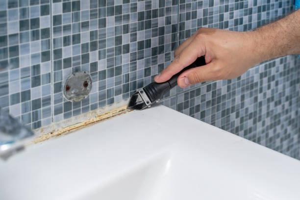 Best Same-Day Mold Removal  in Stockton, MO
